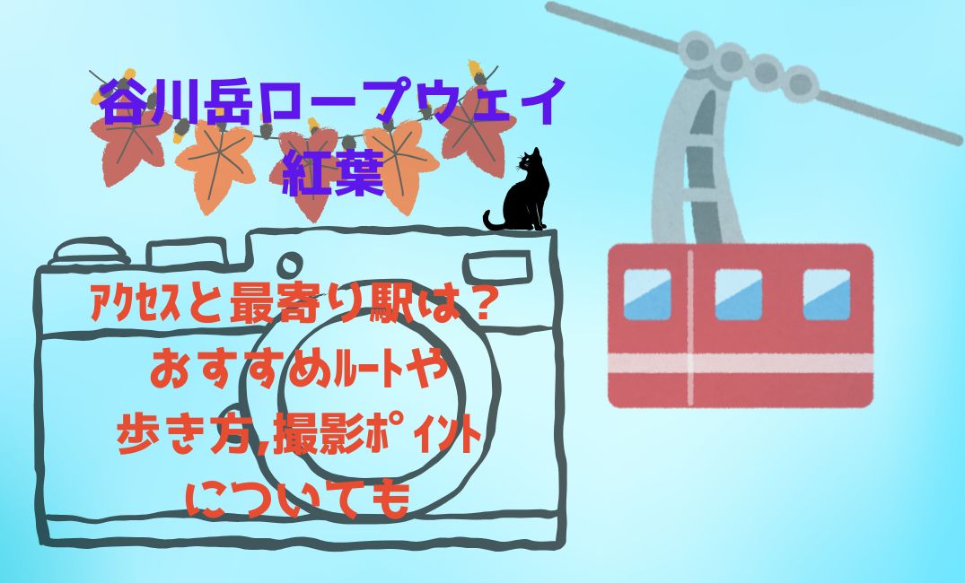 谷川岳ﾛｰﾌﾟｳｪｲ紅葉ｱｸｾｽ