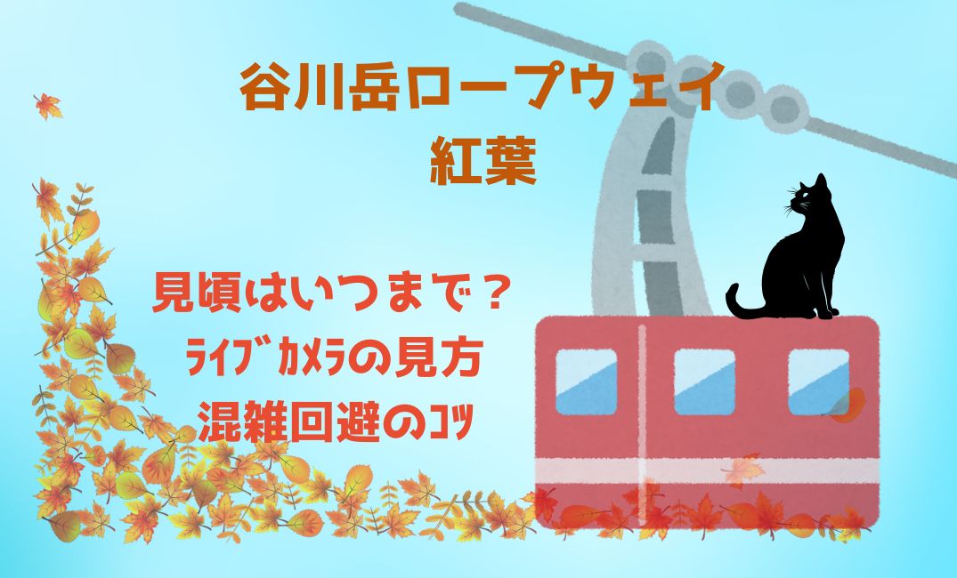 谷川岳ﾛｰﾌﾟｳｪｲ紅葉